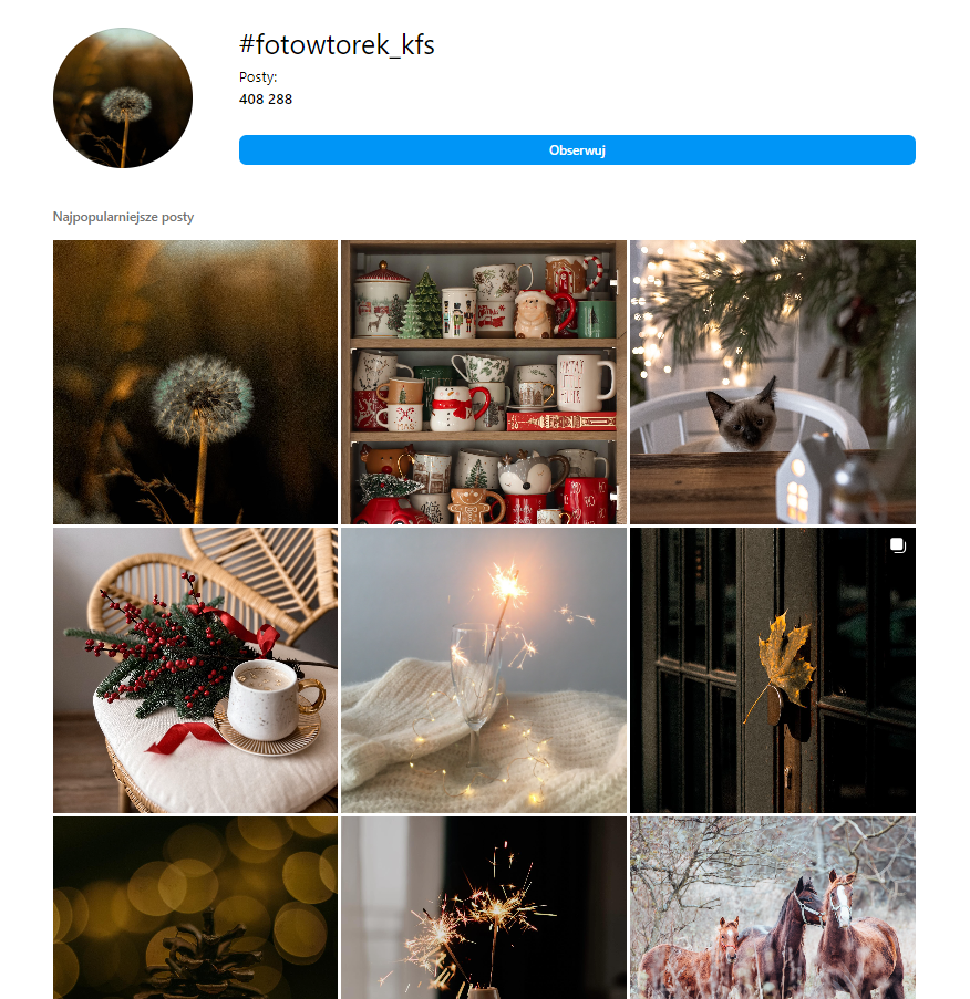 instagram feed kobieca fotoszkola