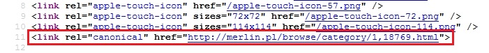 optymalizacja - rel canonical