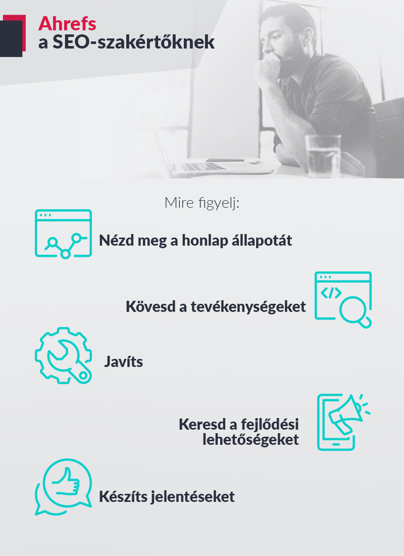 ahrefs dla pozycjonerów – infografika