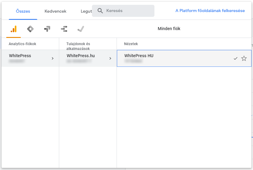 wybór portalu w google analytics