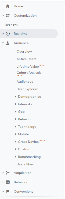 Google Analytics Audience