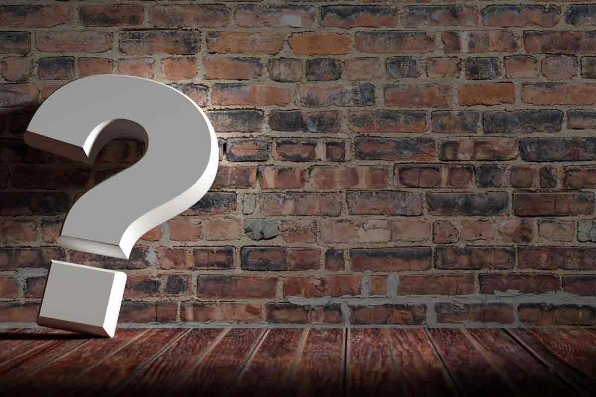 backlink ile ilgili sık sorulan sorular