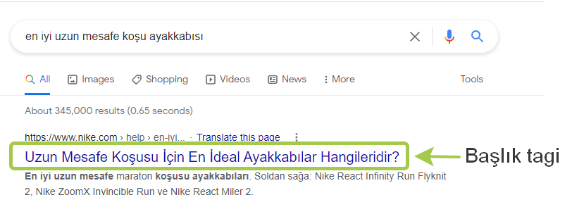 başlık tagi title tag nedir