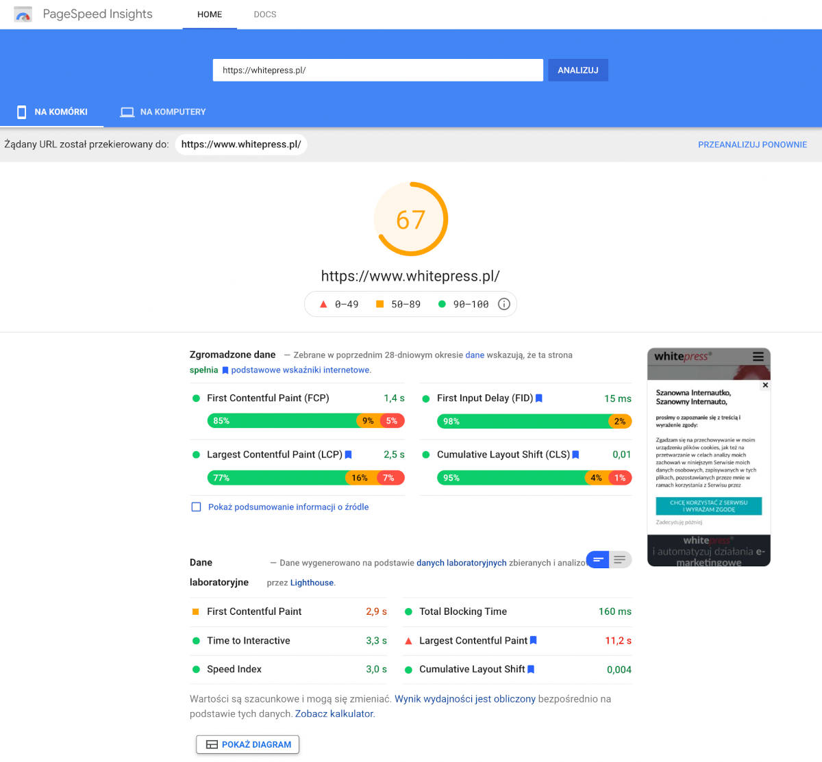 PageSpeed Insights audyt strony whitepress.pl