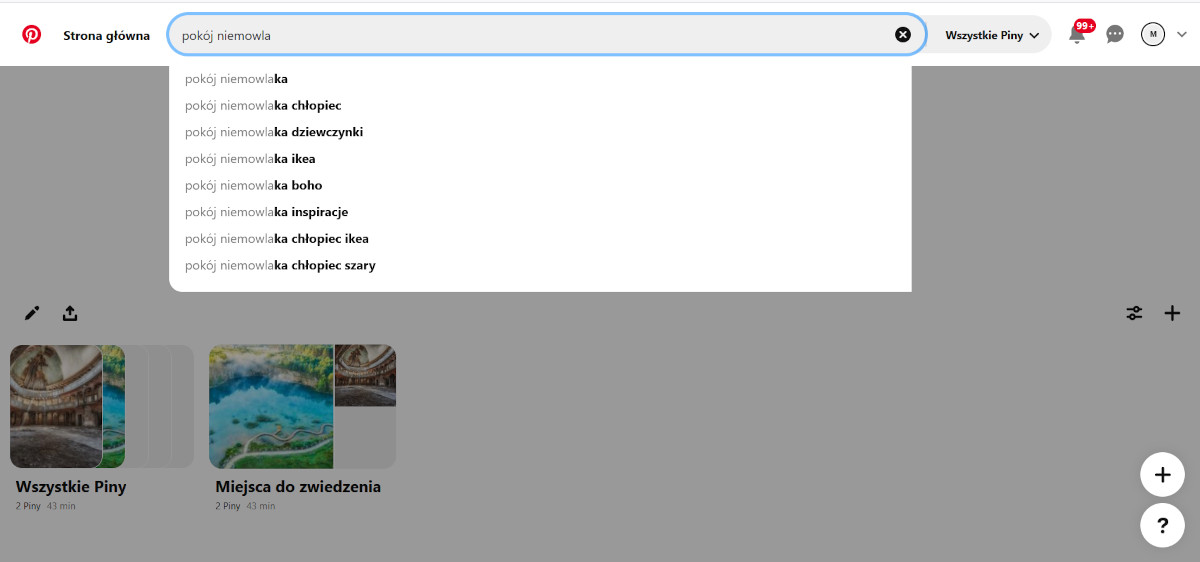 Pinterest jako wyszukiwarka