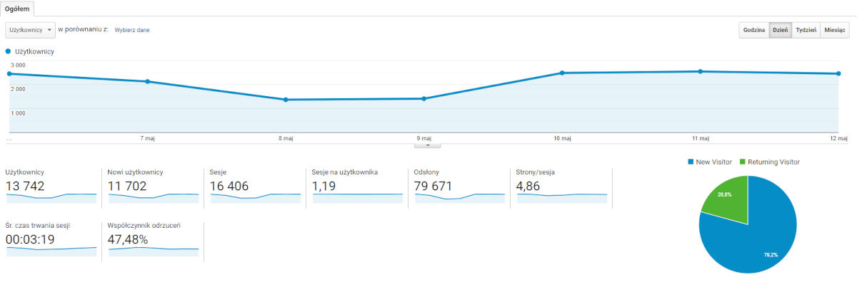 Odbiorcy - Google Analytics - raport