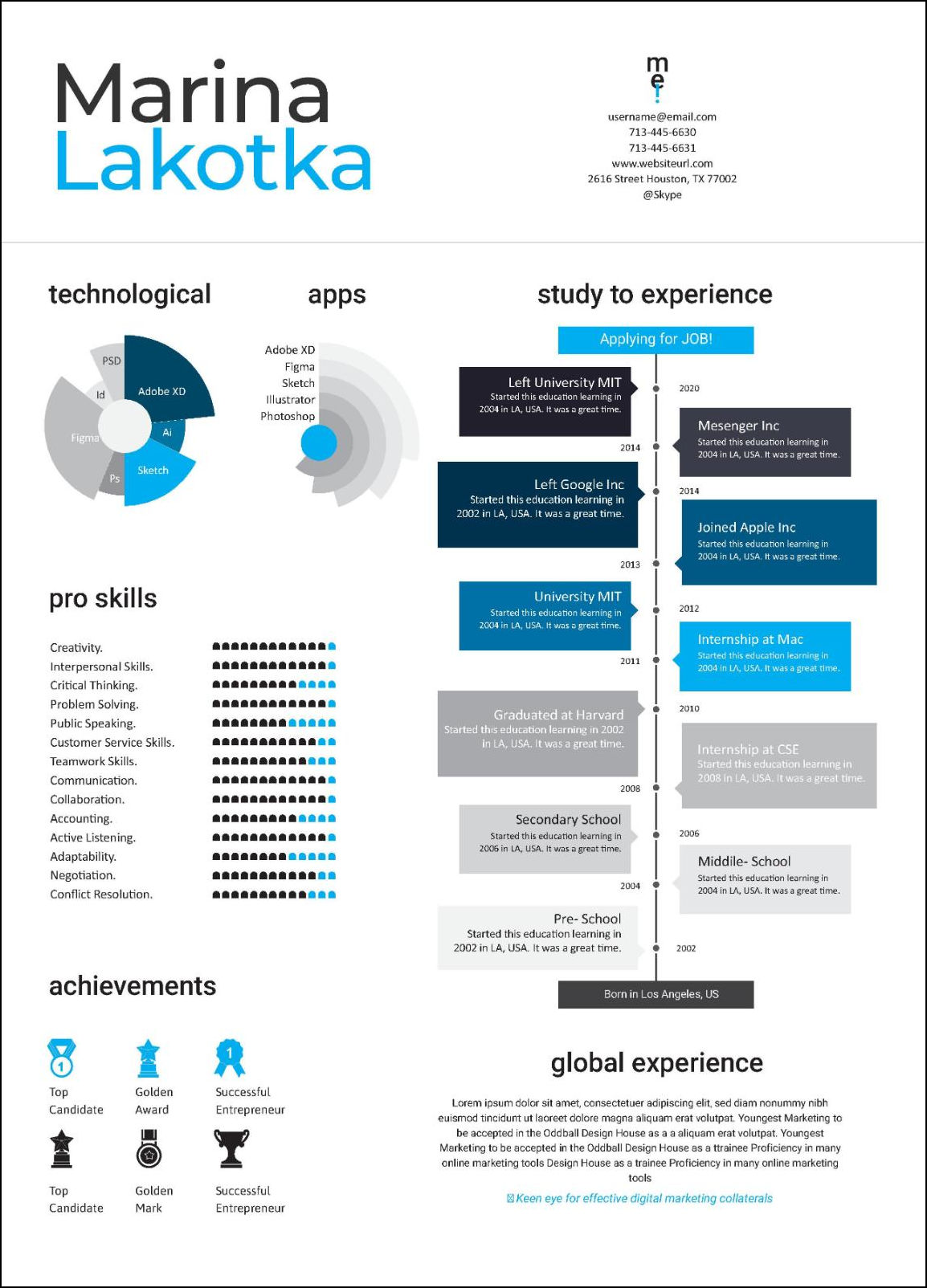 CV infographique