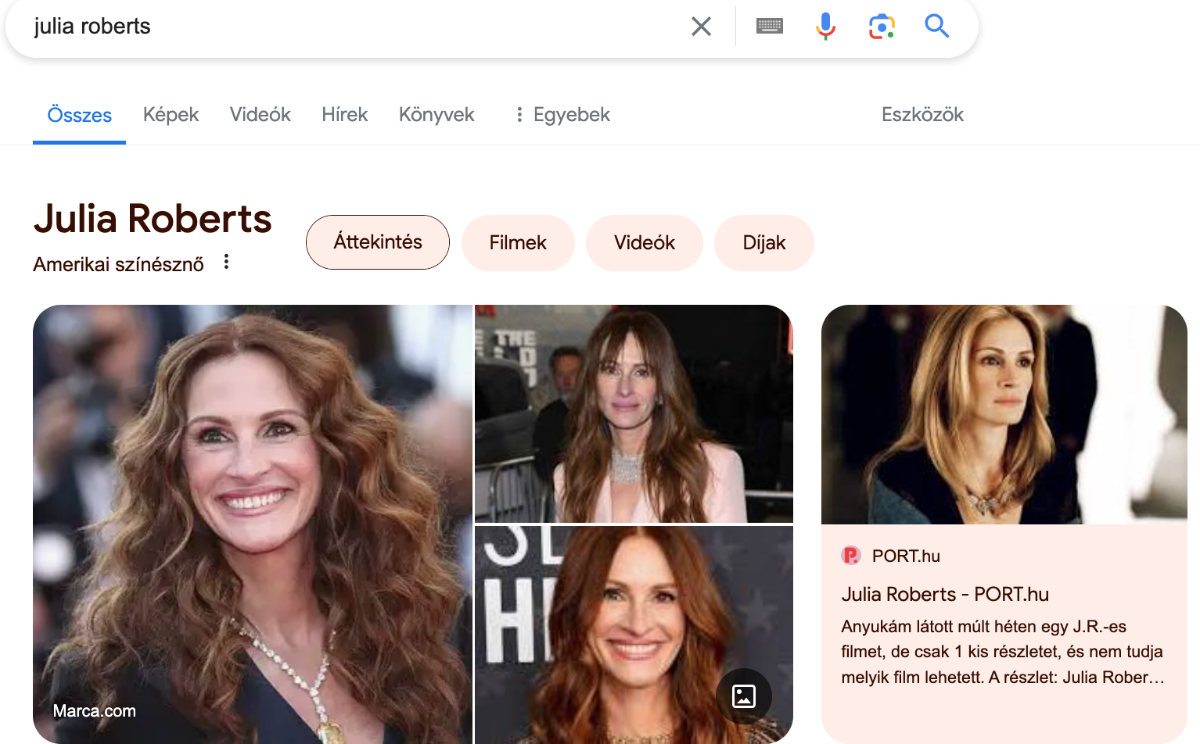 google SERP