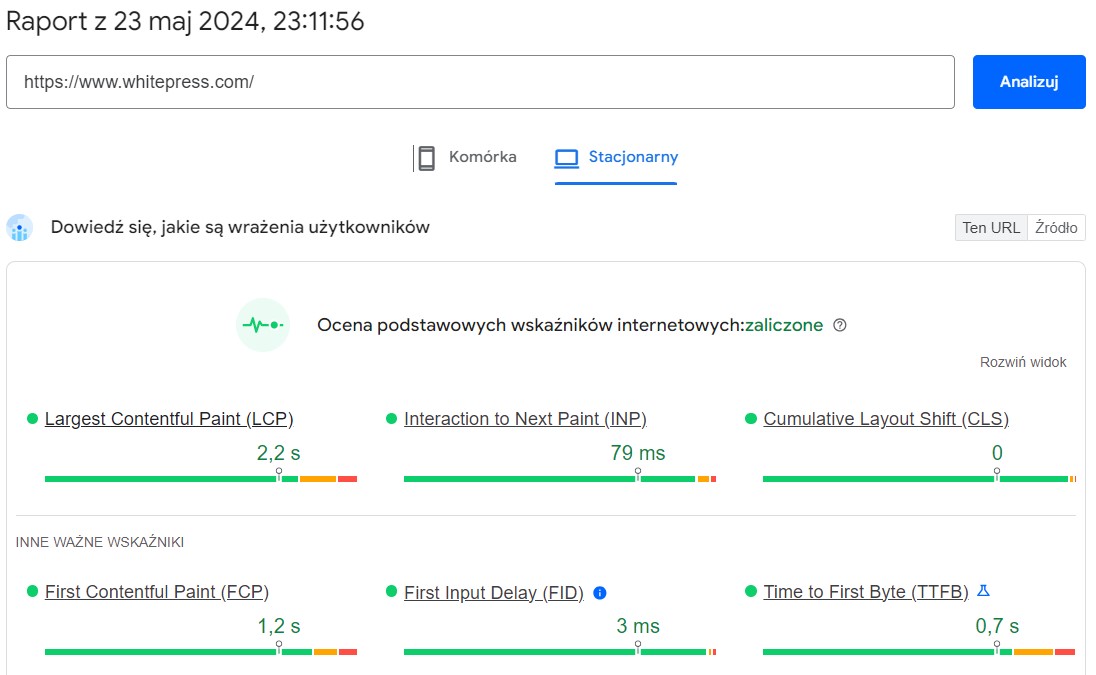 raport pagespeeed insights