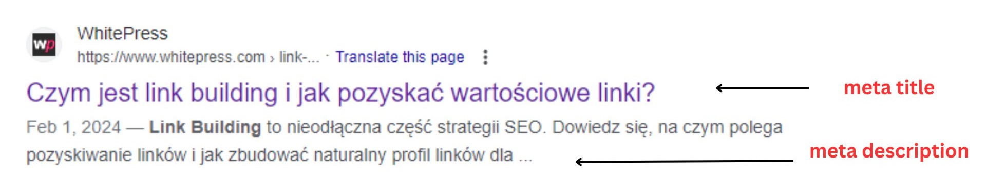 meta tagi serp