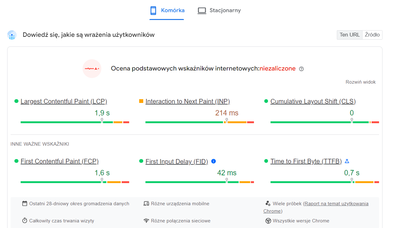 Widok audytu z narzędzia PageSpeed Insights