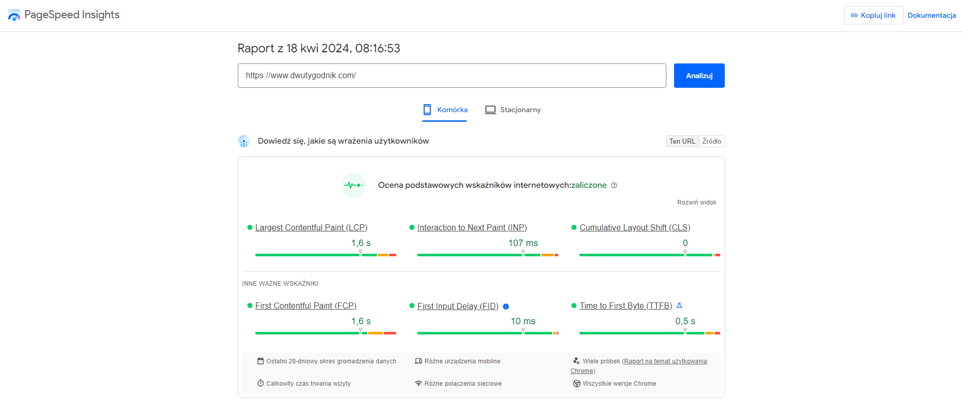 jak mierzyć CWV przykłady]owy raport z pagespeed insights