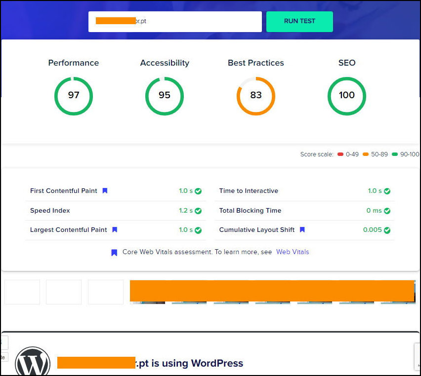 Page Experience Checker