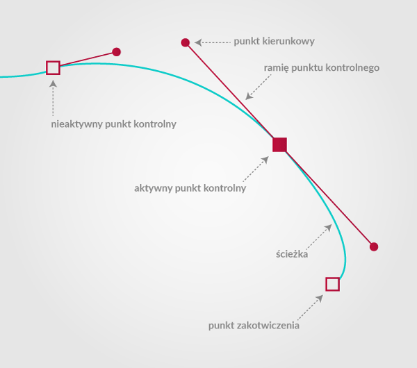 podstawowe narzędzia w projektowaniu grafiki wektorowej