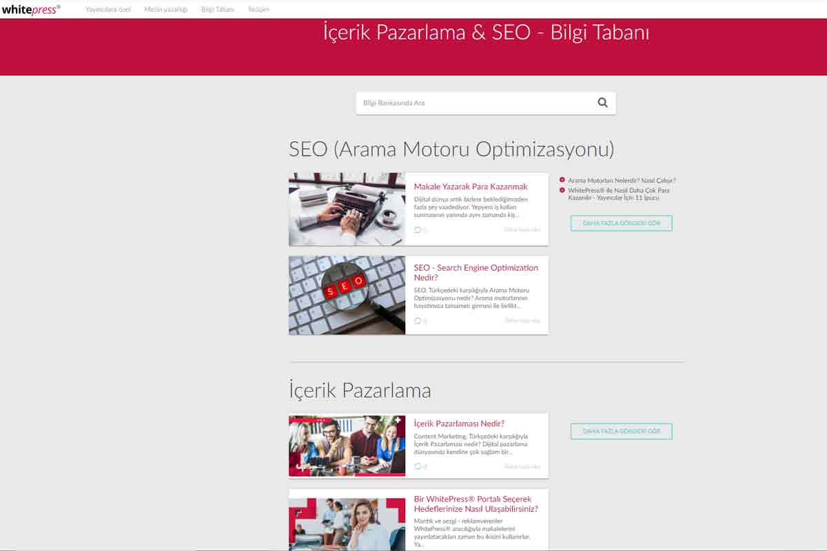 wihtepress ile blog yazarak para kazanmak