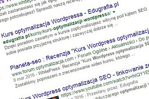 Kurs Wordpress SEO