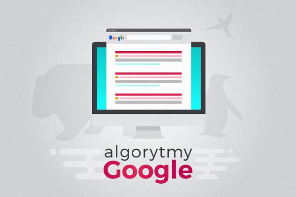 Pingwin 2.0 i inne algorytmy Google