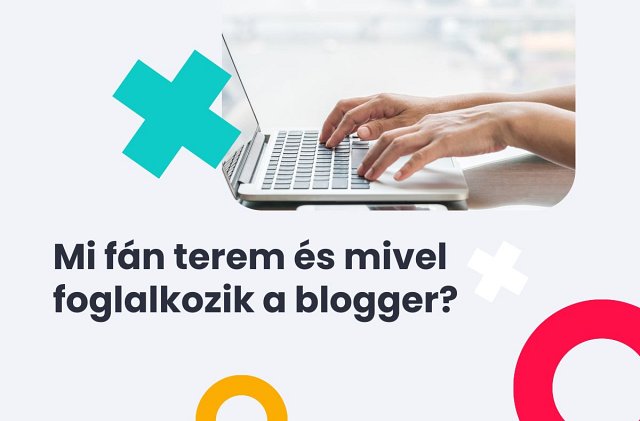 Mi fán terem és mivel foglalkozik a blogger?