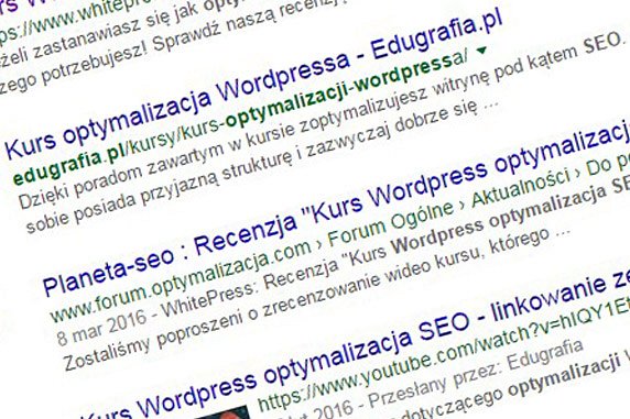 Kurs Wordpress SEO