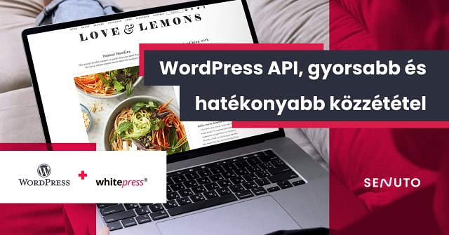 WordPress API