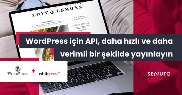 WordPress için API