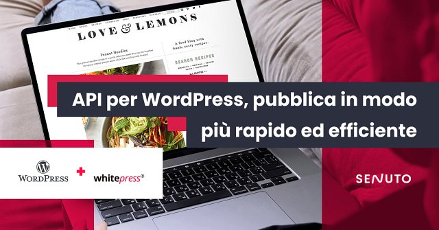 API per WordPress