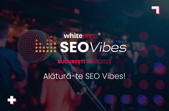 SEO Vibes on Tour