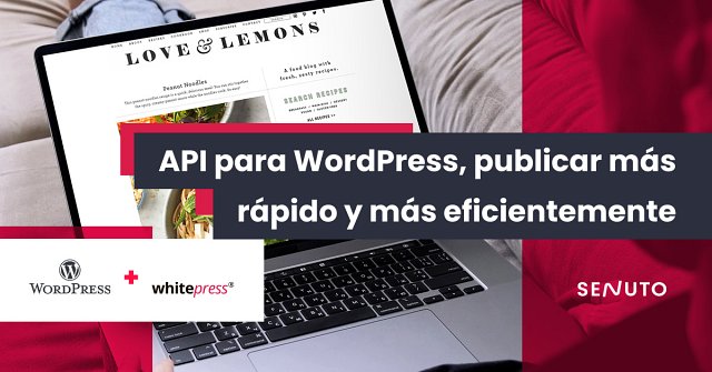 API para WordPress